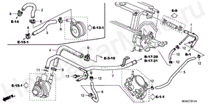 WATER HOSE (2.4L) E-15-11 WATER HOSE (2.4L)
