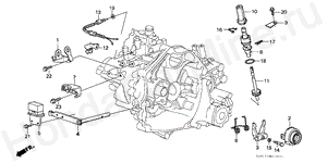 M-13 CLUTCH RELEASE/ SPEEDOMETER GEAR (4WD)
